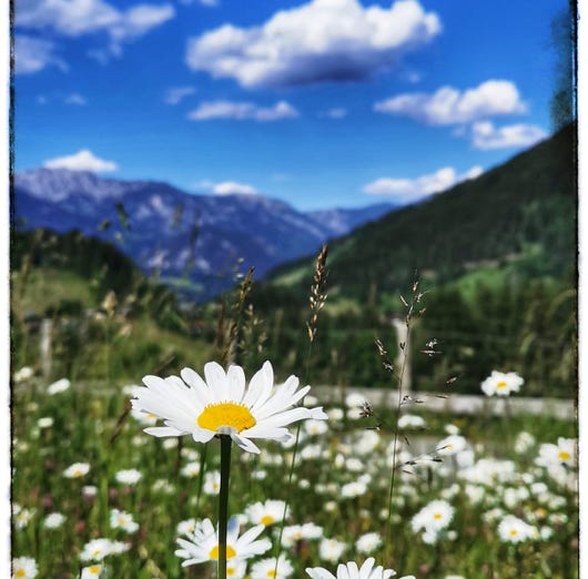 Schladming Dachstein Sommercard
