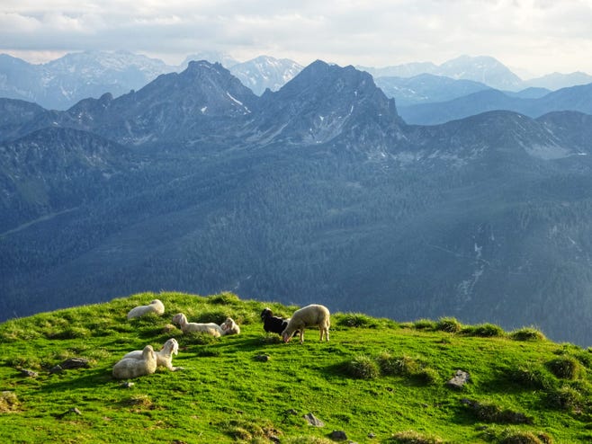Schladming Dachstein Wandern